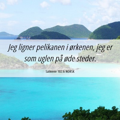 Picture 06 - Salmene 102:6 NORSK - Jeg ligner pelikanen i ørkenen, jeg er som uglen - Bible Verse Picture