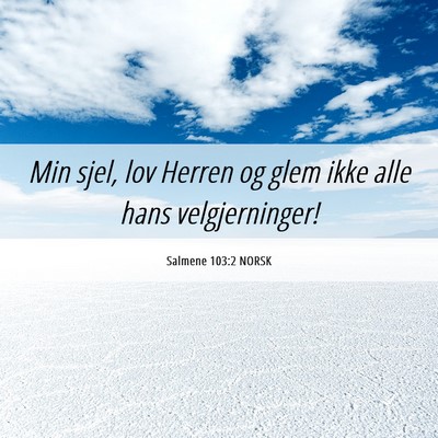 Picture 06 - Salmene 103:2 NORSK - Min sjel, lov Herren og glem ikke alle hans - Bible Verse Picture