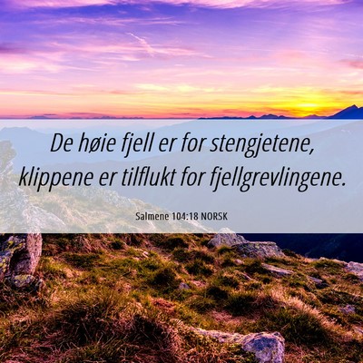 Picture 06 - Salmene 104:18 NORSK - De høie fjell er for stengjetene, klippene er - Bible Verse Picture