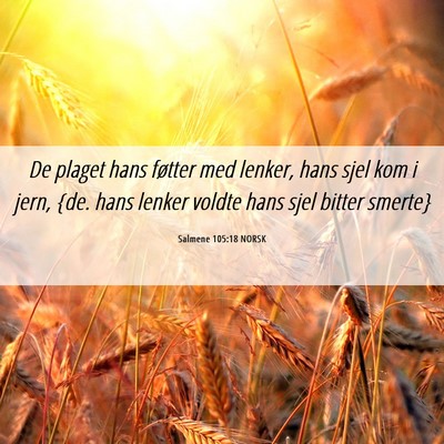 Picture 06 - Salmene 105:18 NORSK - De plaget hans føtter med lenker, hans sjel kom - Bible Verse Picture