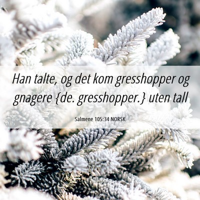 Picture 06 - Salmene 105:34 NORSK - Han talte, og det kom gresshopper og gnagere {de. - Bible Verse Picture