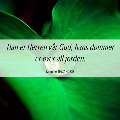 Picture 06 - Salmene 105:7 NORSK - Han er Herren vår Gud, hans dommer er over all - Bible Verse Picture