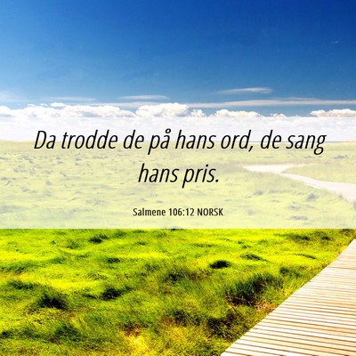 Picture 06 - Salmene 106:12 NORSK - Da trodde de på hans ord, de sang hans - Bible Verse Picture