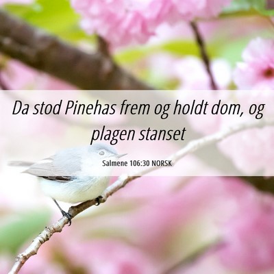Picture 06 - Salmene 106:30 NORSK - Da stod Pinehas frem og holdt dom, og plagen - Bible Verse Picture