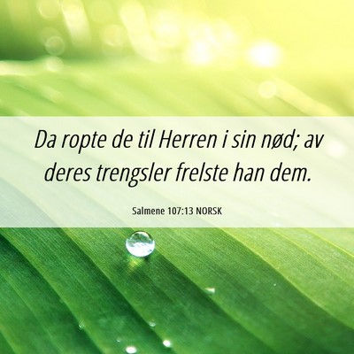 Picture 06 - Salmene 107:13 NORSK - Da ropte de til Herren i sin nød; av deres - Bible Verse Picture