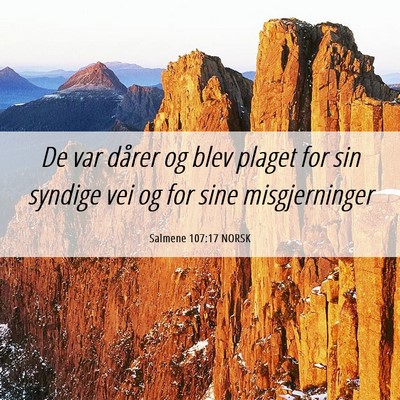 Picture 06 - Salmene 107:17 NORSK - De var dårer og blev plaget for sin syndige vei - Bible Verse Picture