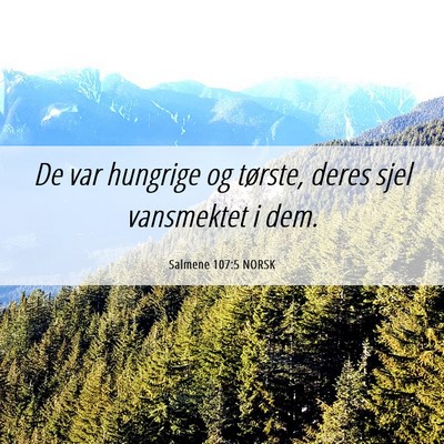 Picture 06 - Salmene 107:5 NORSK - De var hungrige og tørste, deres sjel vansmektet - Bible Verse Picture