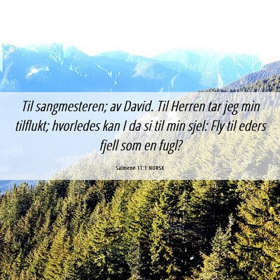 Picture 06 - Salmene 11:1 NORSK - Til sangmesteren; av David. Til Herren tar jeg - Bible Verse Picture