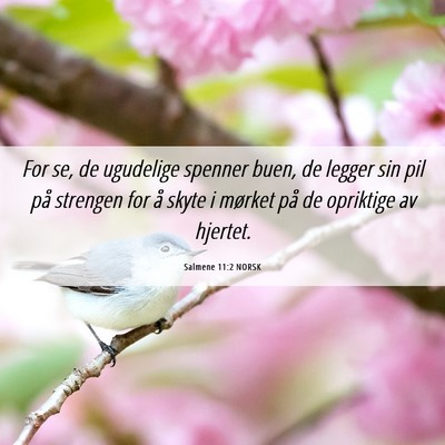 Picture 06 - Salmene 11:2 NORSK - For se, de ugudelige spenner buen, de legger sin - Bible Verse Picture