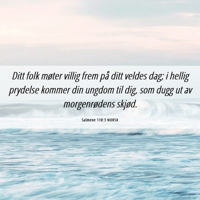 Picture 06 - Salmene 110:3 NORSK - Ditt folk møter villig frem på ditt veldes dag; - Bible Verse Picture