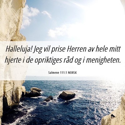 Picture 06 - Salmene 111:1 NORSK - Halleluja! Jeg vil prise Herren av hele mitt - Bible Verse Picture