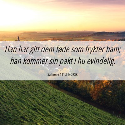 Picture 06 - Salmene 111:5 NORSK - Han har gitt dem føde som frykter ham; han - Bible Verse Picture