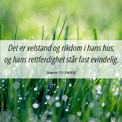 Picture 06 - Salmene 112:3 NORSK - Det er velstand og rikdom i hans hus, og hans - Bible Verse Picture