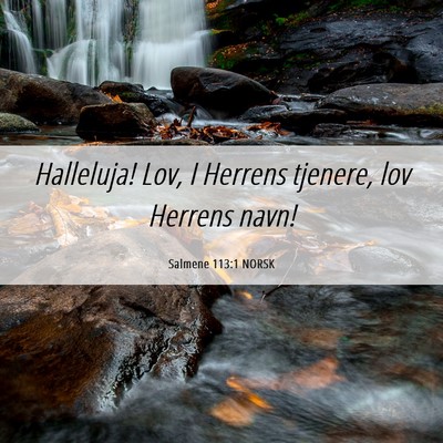 Picture 06 - Salmene 113:1 NORSK - Halleluja! Lov, I Herrens tjenere, lov Herrens - Bible Verse Picture