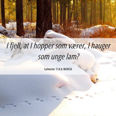 Picture 06 - Salmene 114:6 NORSK - I fjell, at I hopper som værer, I hauger som - Bible Verse Picture