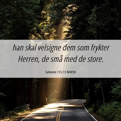 Picture 06 - Salmene 115:13 NORSK - han skal velsigne dem som frykter Herren, de små - Bible Verse Picture