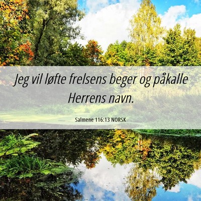 Picture 06 - Salmene 116:13 NORSK - Jeg vil løfte frelsens beger og påkalle Herrens - Bible Verse Picture