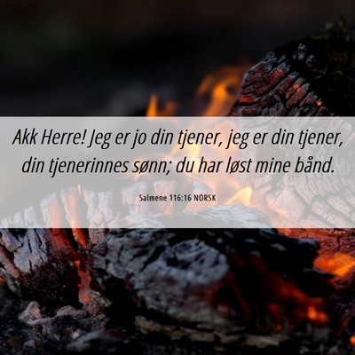 Picture 06 - Salmene 116:16 NORSK - Akk Herre! Jeg er jo din tjener, jeg er din - Bible Verse Picture