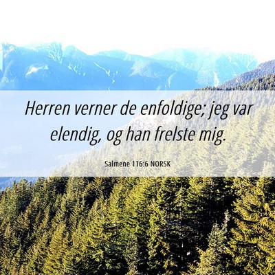 Picture 06 - Salmene 116:6 NORSK - Herren verner de enfoldige; jeg var elendig, og - Bible Verse Picture