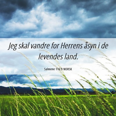 Picture 06 - Salmene 116:9 NORSK - Jeg skal vandre for Herrens åsyn i de levendes - Bible Verse Picture