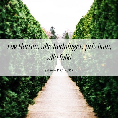 Picture 06 - Salmene 117:1 NORSK - Lov Herren, alle hedninger, pris ham, alle - Bible Verse Picture