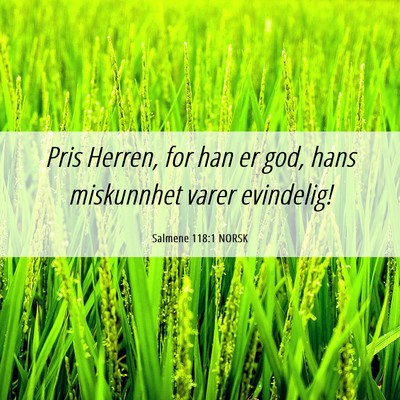 Picture 06 - Salmene 118:1 NORSK - Pris Herren, for han er god, hans miskunnhet - Bible Verse Picture