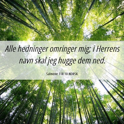 Picture 06 - Salmene 118:10 NORSK - Alle hedninger omringer mig; i Herrens navn skal - Bible Verse Picture