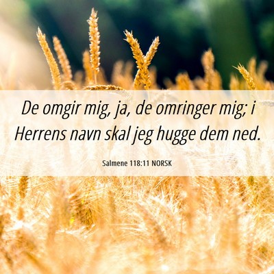 Picture 06 - Salmene 118:11 NORSK - De omgir mig, ja, de omringer mig; i Herrens navn - Bible Verse Picture