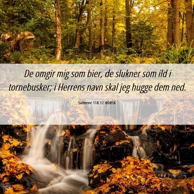 Picture 06 - Salmene 118:12 NORSK - De omgir mig som bier, de slukner som ild i - Bible Verse Picture