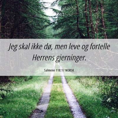 Picture 06 - Salmene 118:17 NORSK - Jeg skal ikke dø, men leve og fortelle Herrens - Bible Verse Picture