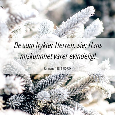 Picture 06 - Salmene 118:4 NORSK - De som frykter Herren, sie: Hans miskunnhet varer - Bible Verse Picture