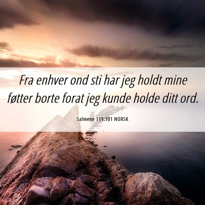 Picture 06 - Salmene 119:101 NORSK - Fra enhver ond sti har jeg holdt mine føtter - Bible Verse Picture