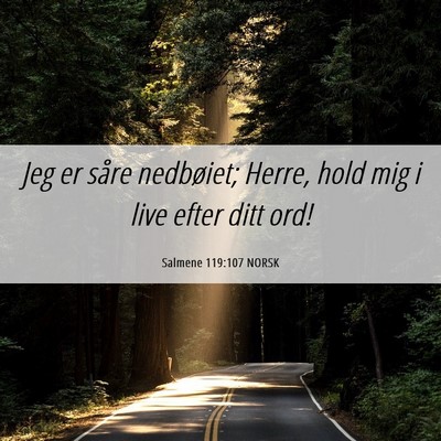 Picture 06 - Salmene 119:107 NORSK - Jeg er såre nedbøiet; Herre, hold mig i live - Bible Verse Picture