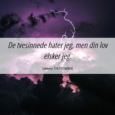 Picture 06 - Salmene 119:113 NORSK - De tvesinnede hater jeg, men din lov elsker - Bible Verse Picture