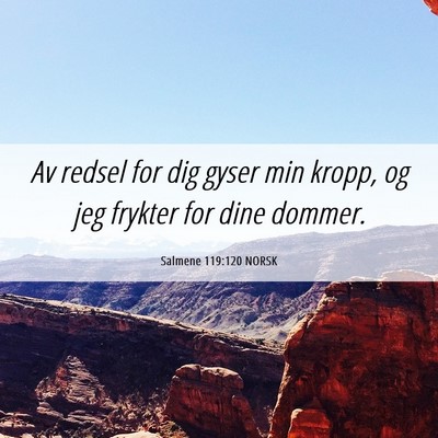 Picture 06 - Salmene 119:120 NORSK - Av redsel for dig gyser min kropp, og jeg frykter - Bible Verse Picture