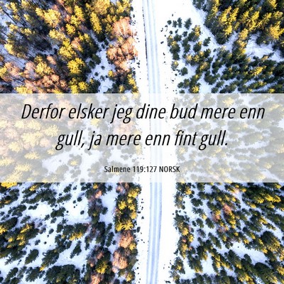 Picture 06 - Salmene 119:127 NORSK - Derfor elsker jeg dine bud mere enn gull, ja mere - Bible Verse Picture