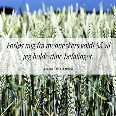 Picture 06 - Salmene 119:134 NORSK - Forløs mig fra menneskers vold! Så vil jeg - Bible Verse Picture