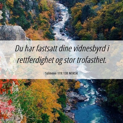 Picture 06 - Salmene 119:138 NORSK - Du har fastsatt dine vidnesbyrd i rettferdighet - Bible Verse Picture