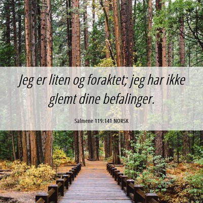 Picture 06 - Salmene 119:141 NORSK - Jeg er liten og foraktet; jeg har ikke glemt dine - Bible Verse Picture