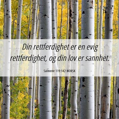 Picture 06 - Salmene 119:142 NORSK - Din rettferdighet er en evig rettferdighet, og - Bible Verse Picture