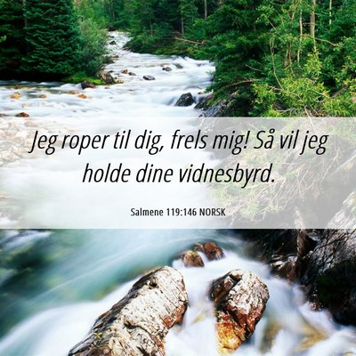 Picture 06 - Salmene 119:146 NORSK - Jeg roper til dig, frels mig! Så vil jeg holde - Bible Verse Picture