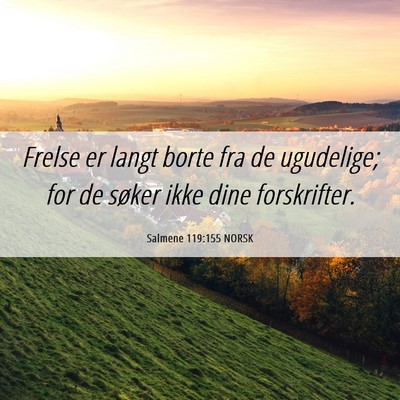 Picture 06 - Salmene 119:155 NORSK - Frelse er langt borte fra de ugudelige; for de - Bible Verse Picture