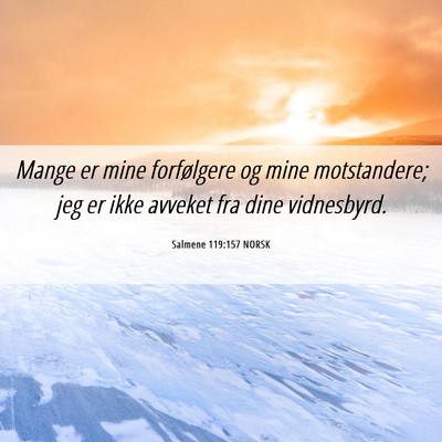 Picture 06 - Salmene 119:157 NORSK - Mange er mine forfølgere og mine motstandere; - Bible Verse Picture