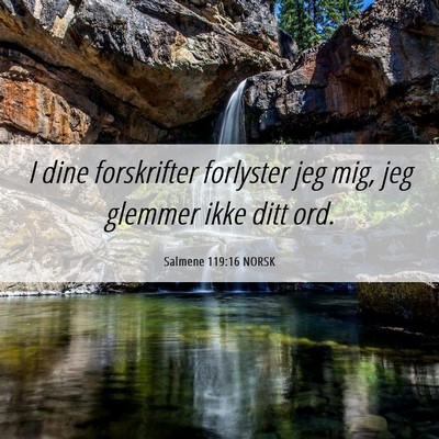 Picture 06 - Salmene 119:16 NORSK - I dine forskrifter forlyster jeg mig, jeg glemmer - Bible Verse Picture