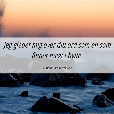 Picture 06 - Salmene 119:162 NORSK - Jeg gleder mig over ditt ord som en som finner - Bible Verse Picture
