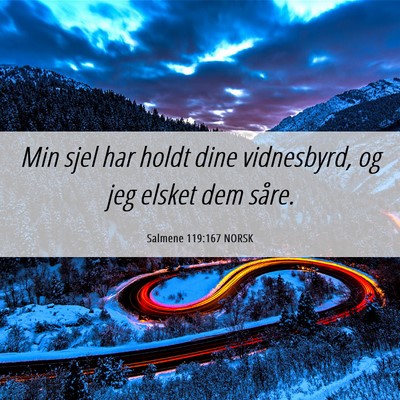 Picture 06 - Salmene 119:167 NORSK - Min sjel har holdt dine vidnesbyrd, og jeg elsket - Bible Verse Picture