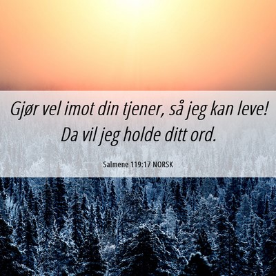 Picture 06 - Salmene 119:17 NORSK - Gjør vel imot din tjener, så jeg kan leve! Da - Bible Verse Picture