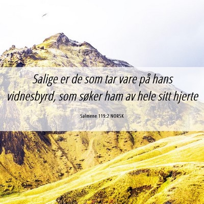 Picture 06 - Salmene 119:2 NORSK - Salige er de som tar vare på hans vidnesbyrd, - Bible Verse Picture