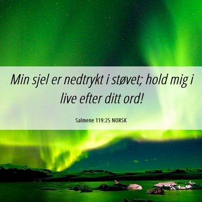 Picture 06 - Salmene 119:25 NORSK - Min sjel er nedtrykt i støvet; hold mig i live - Bible Verse Picture