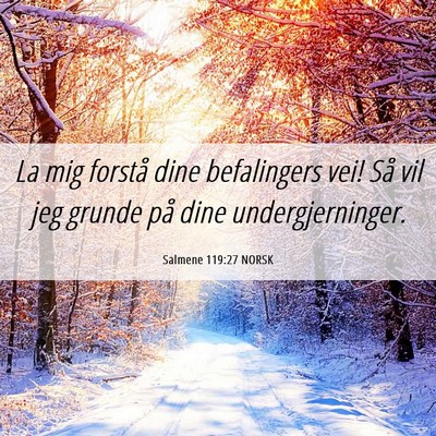 Picture 06 - Salmene 119:27 NORSK - La mig forstå dine befalingers vei! Så vil jeg - Bible Verse Picture